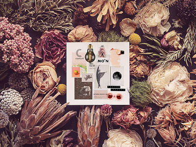Freebie: Bloom Flavor Top View Mockups cover free freebie mockup mockups pixelbuddha presentation showcase