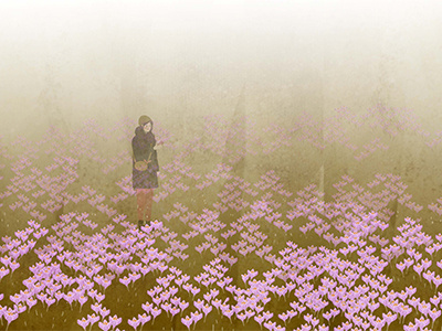 crocus meadow crocus flowers fog girl spring