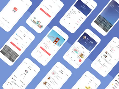 CarryonEx App v1.2.1 app chinese ios marketplace platform shopping travel