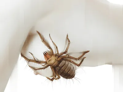Arachnophobia IV arachnophobia beauty digital erotic girl horror illustration model nude painting sexy spider
