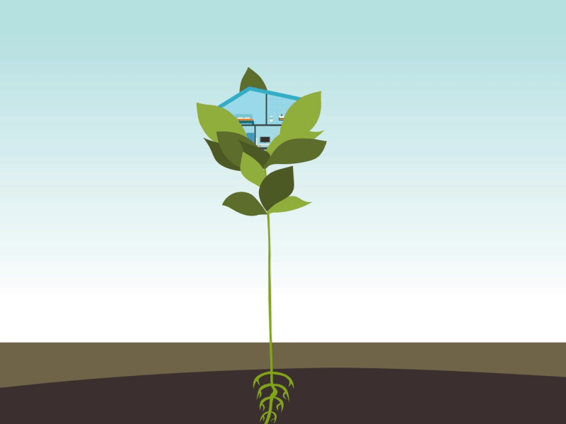 GeoExchange Philosophy 2d animation ae after effects animation character explainer illustration motion motion graphics pmarts video