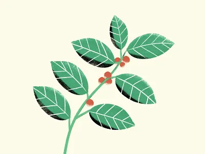 Coffee plant bean coffee leaf leaves plant