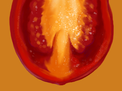 Tomato cross section digital art digital painting food food illustration healthy illustration photoshop realistic tomato vegetable