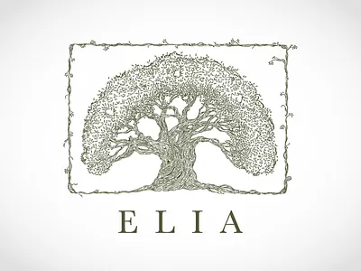 Elia illustration lines traditional