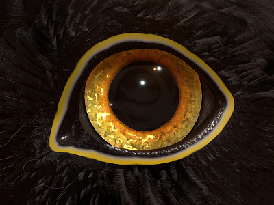 Bird Eye 3d animal bird c4d eye