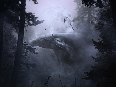 Humpback Forest photo manipulation design designhowl graphic humpback manipulation photoshop tutorial