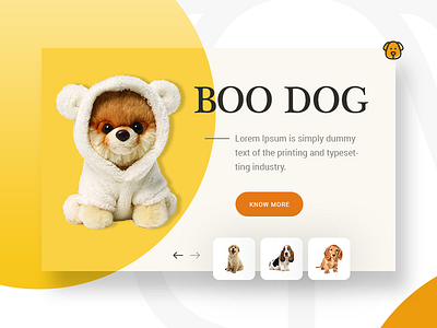 Boo Dog boo design dog puppy sketchapp slider ui ux web