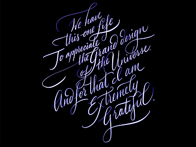 Stephen Hawking calligraphy cursive handlettering handwriting illustration lettering procreate quote stephen hawking type typography universe