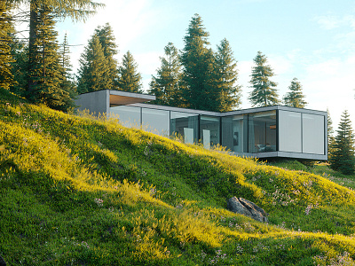 Hillside house 3d corona hillside render