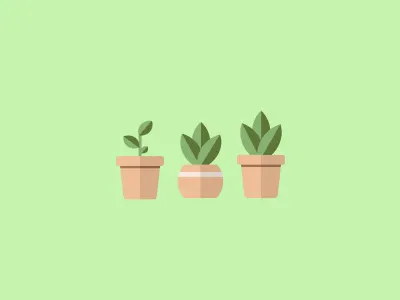 Succulents Minimalist Design design green minimalist plant succulent