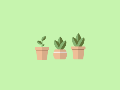 Succulents Minimalist Design design green minimalist plant succulent