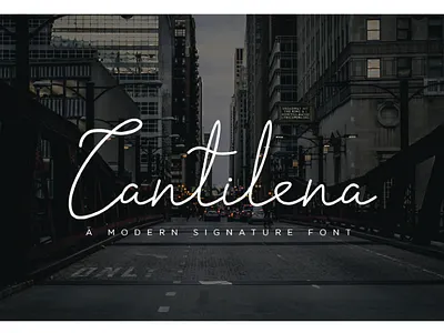 Cantilena - Signature Font calligraphy calligraphy font font font logo handwriting logo signature signature font signature logo signature style signatures typeface
