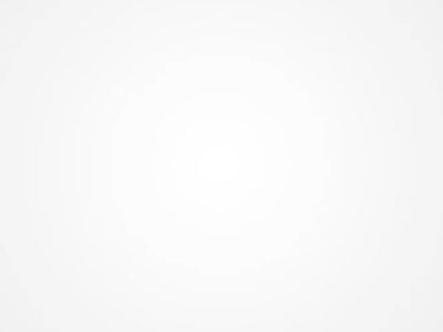 Logo Animation animation branding creative logo logo design