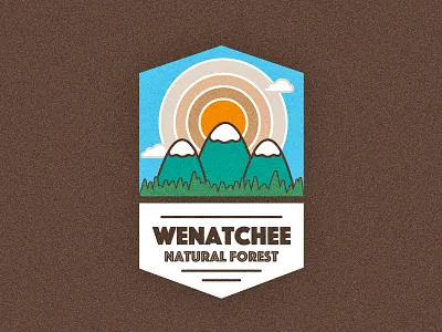 Wenatchee Logo Concept branding graphic design illustration logo design thirty logos