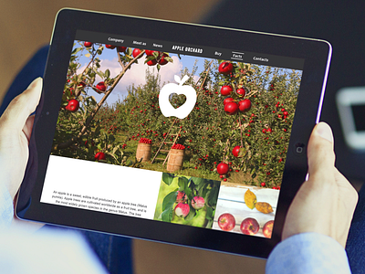 Apple Orchard website interface ui uiux ux web design