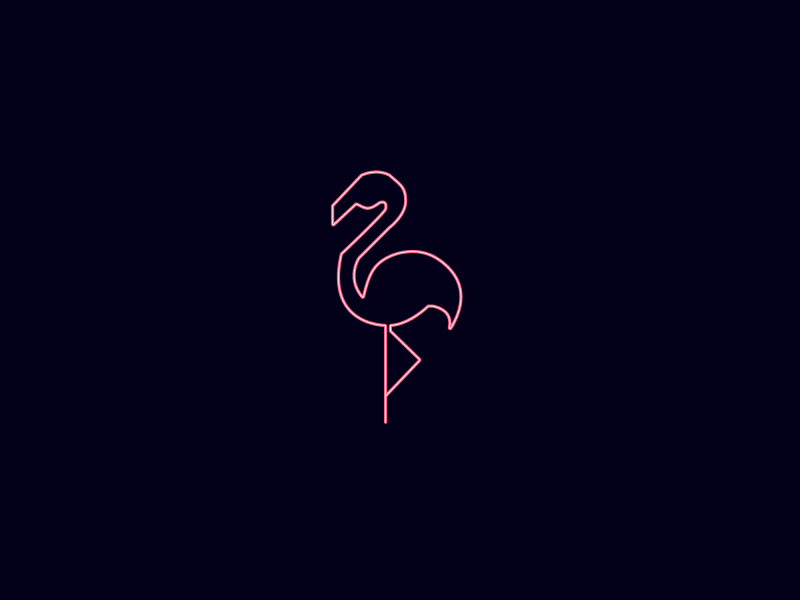 Neon Alive - Flamingo after effects alive animal animation design flamingo gif light motion neon pink