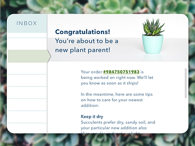 Email Receipt 017 clean dailyui email modern plants receipt ui ui design user interface design