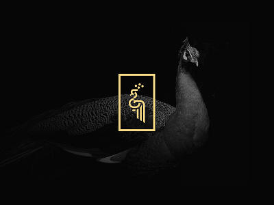 Logo peacock animal bird geometry jewelry line logo luxury minimal peacock royal stroke symbol