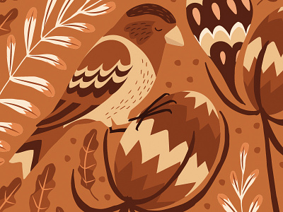 Birds of Mallorca animals birds fresh hand drawn illustrator nature outdoors pattern wildlife