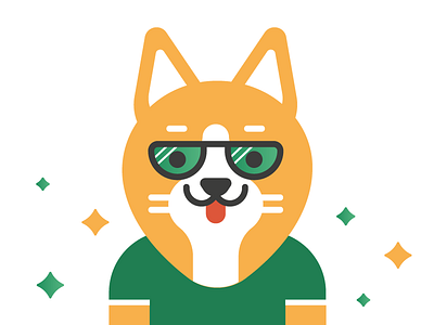 Corgi dude corgi dog dude