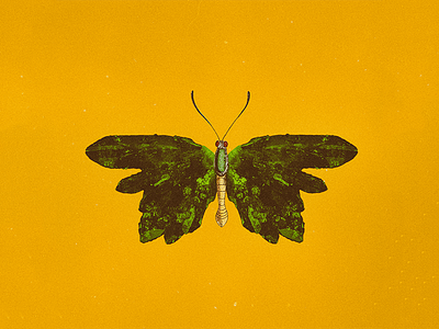 CRYSTALFLY #5 animal art butterfly collage crystals fly green illustration nature yellow