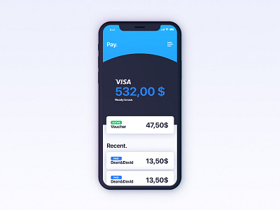 Payment Wallet iphone ui ux visa voucher