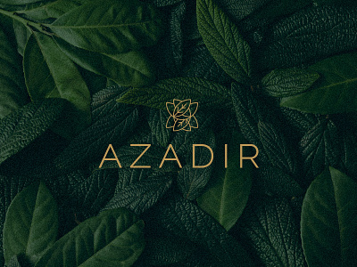 AZADIR RESIDENCE azadir azadirachta green identity indica logo