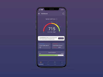 Mobile app dashboard credit score