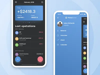 Moneysome #1 app app design minimal application blue color dashboard design finance money cash ios overview income costs ui ux