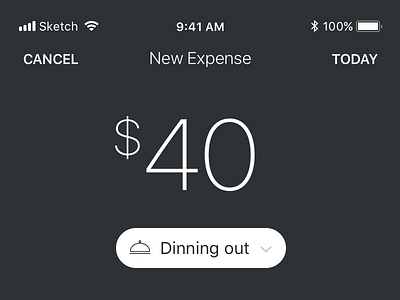 Expenses app concept app expenses ios