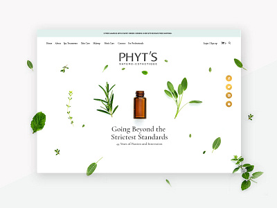 PHYT's website header botanical ecommerce gold hero image plants responsive skin care the banner years ui ux website woocommerce