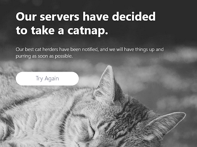 Catnap Error Page 500 error