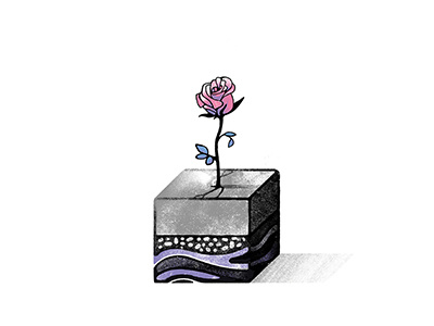 Concrete Rose design editorial illustration rose