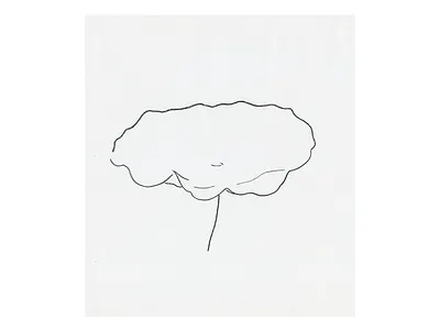 Study 62 - Water Lilly delicate drawing environment leaf line line drawing natural nature organic original sketch study