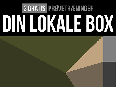 Din Lokale Box camouflage colour study danish graphic design