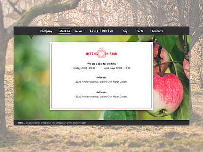 Apple Orchard website: Meet Us page contact contact us desktop interface ui uiux ux website