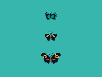 Three amigos art bugs butterfly graphic illustration insect moths