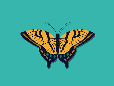 Butterfly art bug butterfly illustration insect vector