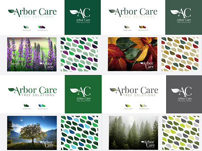 Arbor Care Tree Solutions Color Trials brand development branding color palettes color theory corporate identity logo design