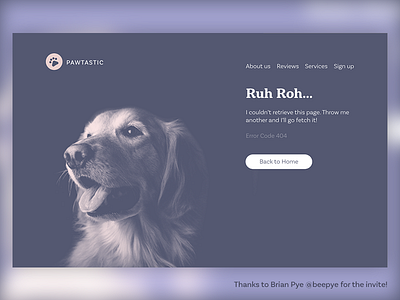 Pawtastic Error Screen adobe xd debut error page screen ui kit web xd