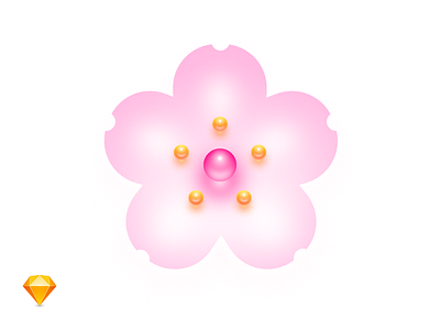 Sakura Season Open flower freebie icon illustration sakura sketch