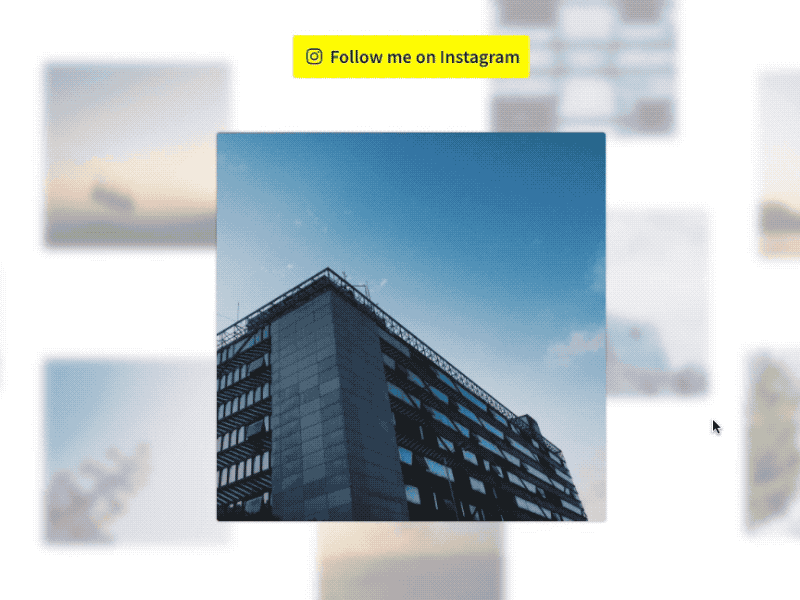 Button hover animation animation black button css design grid photo shadows web white yellow