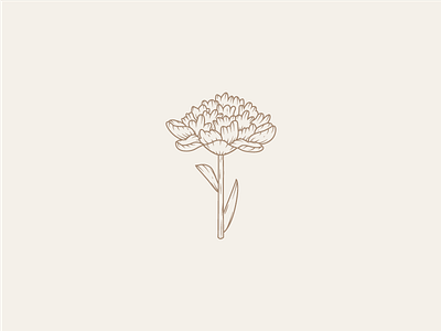 Peony archives brand concept flower icon illustration logo peony plant symbol