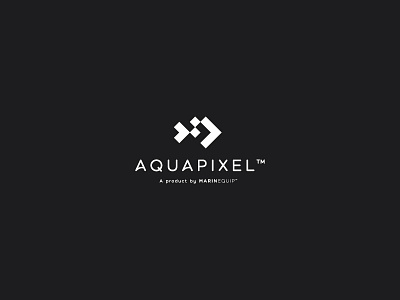 Aquapixel biomass camera for solutions underwater visuals