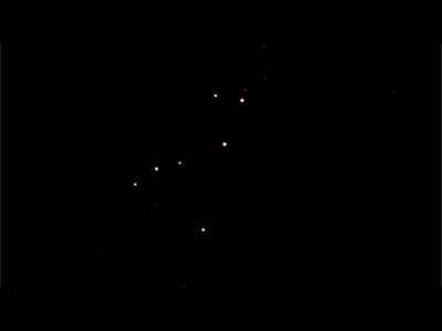 Constellation Tiger animation brush constellation drawing gif illustration ink projection tiger