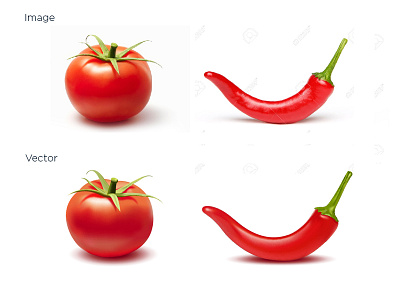 Realistic Veg mesh red vector veg