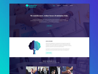 violet risk management mockup layout mockup risk management website website mockup