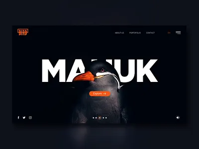 Manuk bird black fly interface landingpage ui web webdesign website