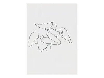 Study 104 🌿 charcoal drawing garden leaf line line drawing natural nature organic original sketch