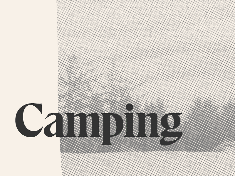 Burton Tonal Study bitmap color eksell halftone tonal type typography